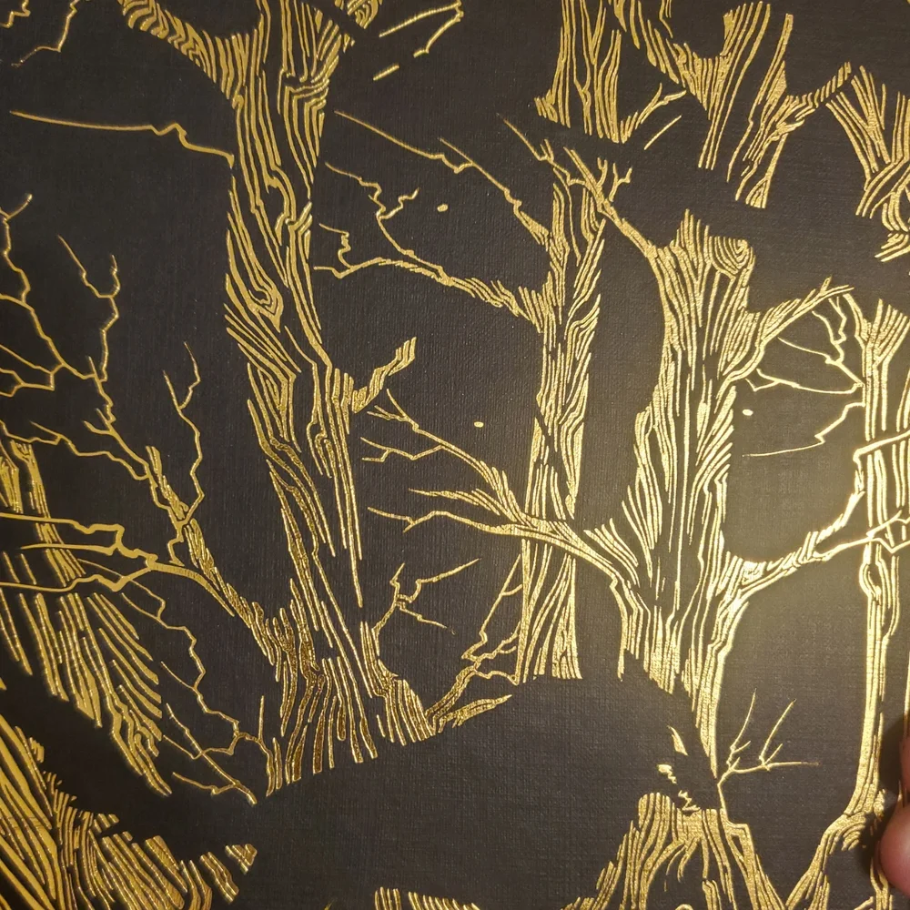 A Court of Thorns and Roses Collectors Edition - Picture 6 of 11